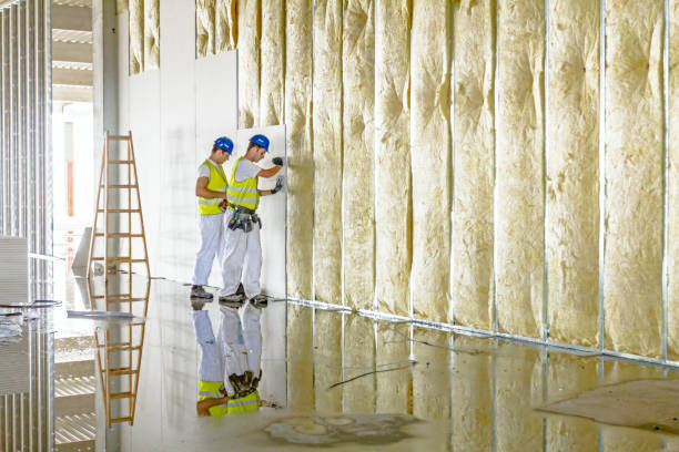 Insulation Inspection Services in Hendersonville, TN